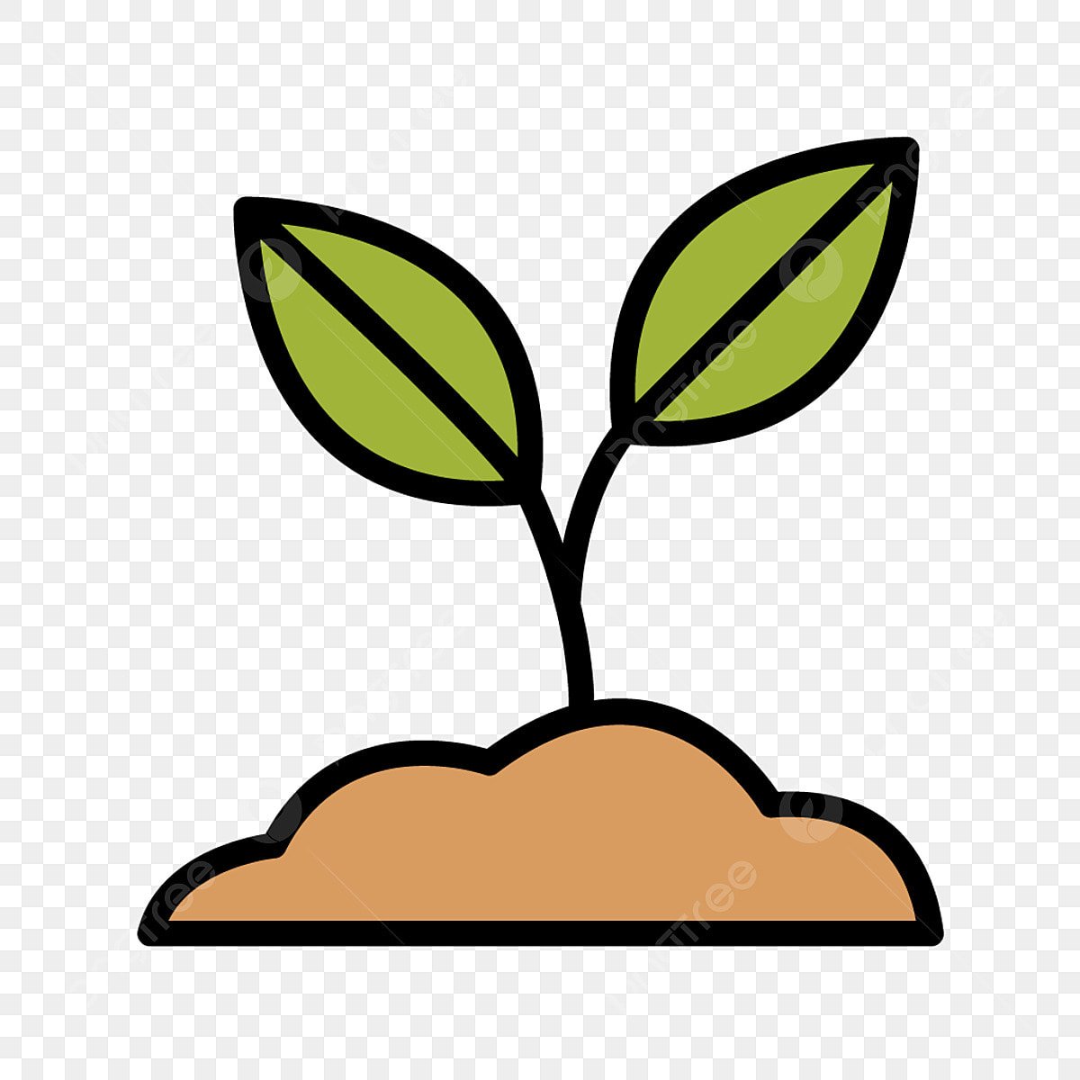 Placement of Vegetation